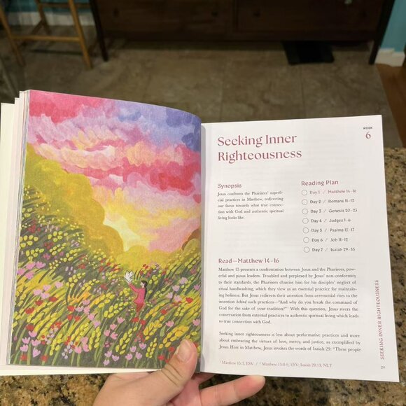 A Beautiful Year in the Bible: The 52-Week Bible Study for Women - Picture 4 of 6